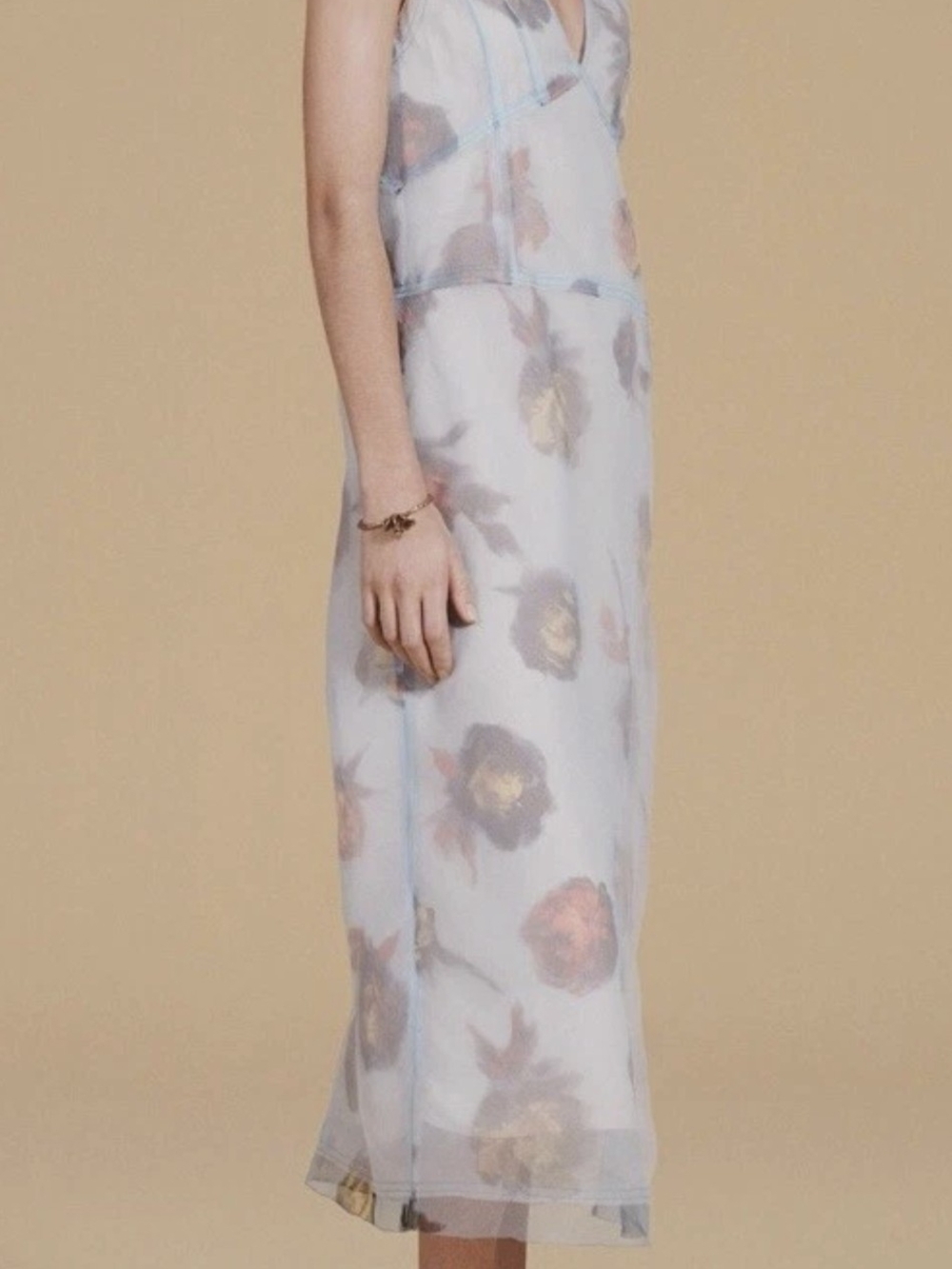 Zara Sheer Floral Maxi Dress in Light Blue with Red and Gold Accents
